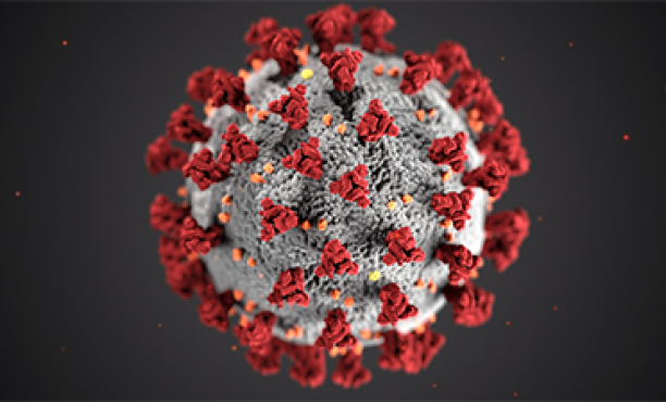 Signals#3 - Understanding the coronavirus crisis | COVID-19 | Ipsos