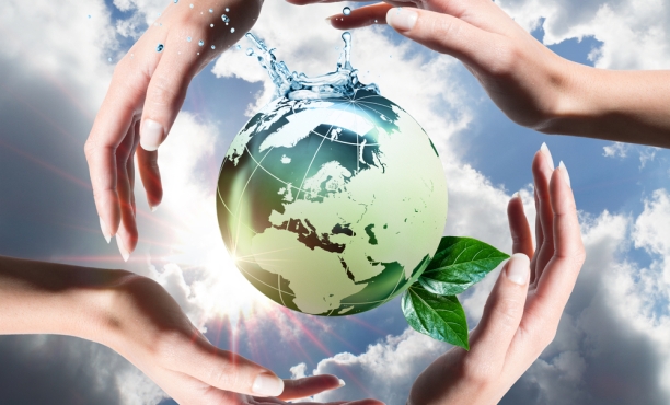 Sustainable brands UAE