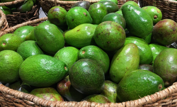 Globalizáció támogatottsága