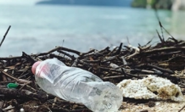 Plastic Reduction | Brand Reputation | Ipsos | Environment | Plastic water bottle | Sustainability