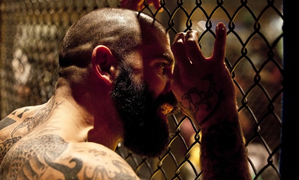 Obliba bojového sportu MMA výrazně roste