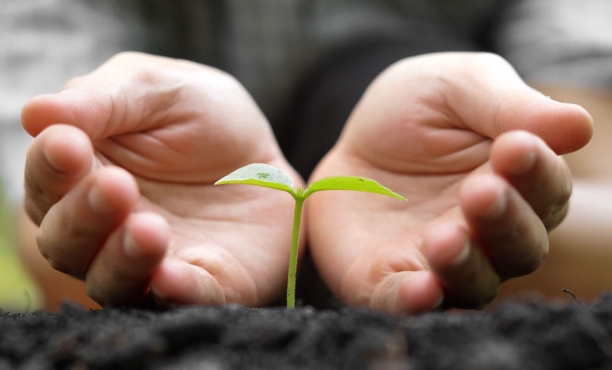 Nederlanders over Klimaatverandering.jpg