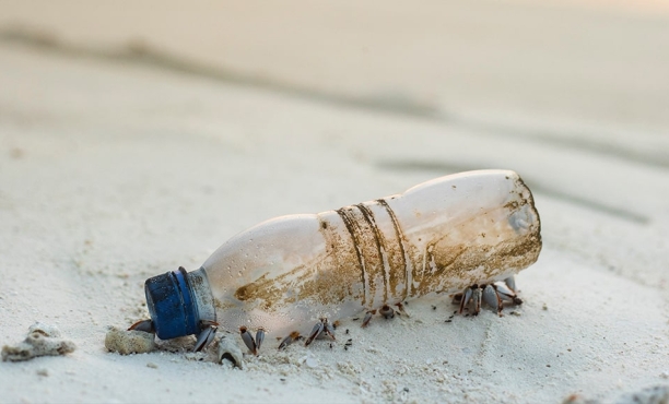 Single-use plastics | Ipsos