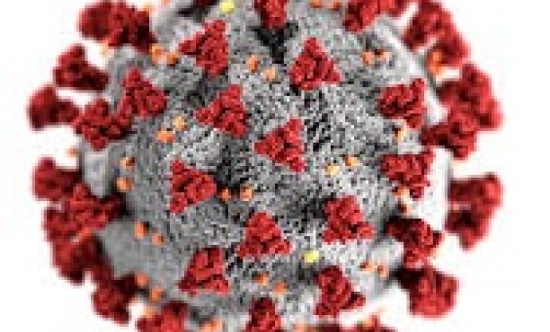 Migración venezolana frente al Covid-19