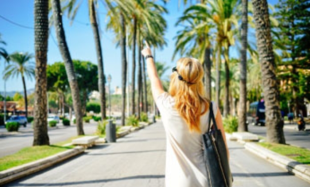 Summer Holiday Plans Among Europeans and Americans