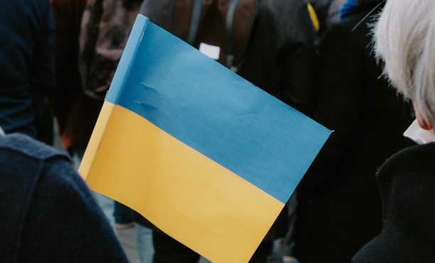 ipsos Global Advisor - War in Ukraine 