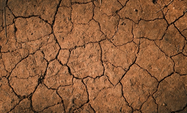 Ipsos | World Economic Forum | WEF | Global Warming | Climate Change | Environment