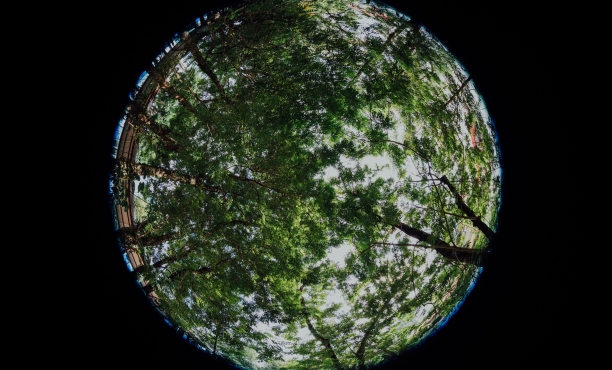 Ipsos | AXA Future Risks Report 2022 | Climate change 