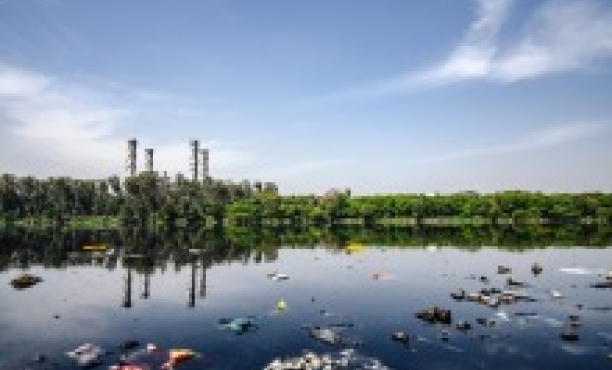 Ipsos Pollution