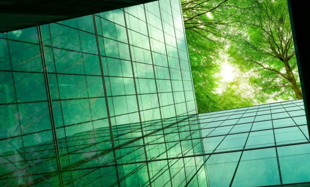 Ipsos | SMEs | Sustainability | Energy | Eurobarometer