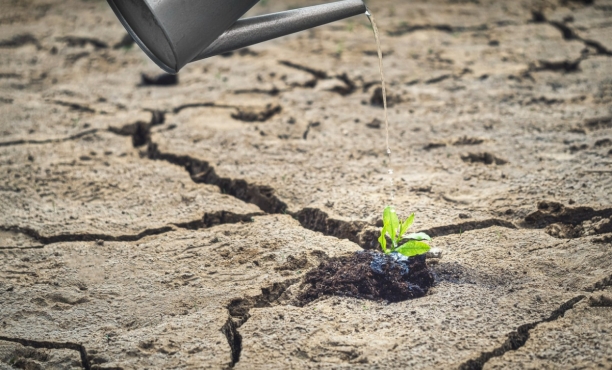 22 marzo, Giornata Mondiale dell’Acqua 2023: sostenibilità, i comportamenti per ridurre lo spreco di acqua