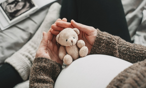 Maternità surrogata e adozioni coppie omosessuali in Italia: la posizione dei partiti politici e le opinioni degli italiani