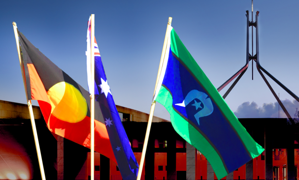 Voice to Parliament photo montage