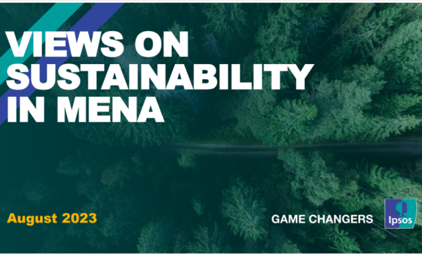 Взгляд на устойчивое развитие в странах MENA