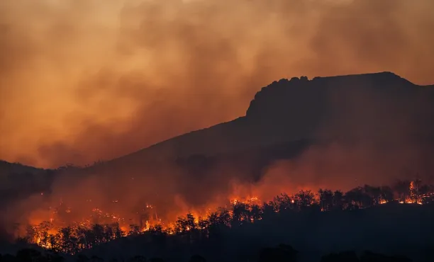 Ipsos | Global Advisor | COP28 | Global warming