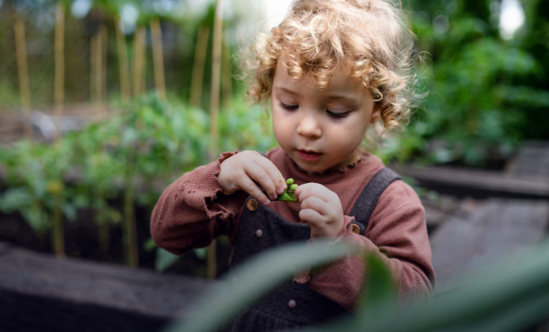 Будущее здоровья и питания. Tetra Pak Index 2023