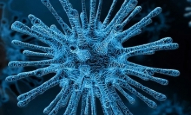 Ipsos - Coronavirus COVID-19 Polling November 2023