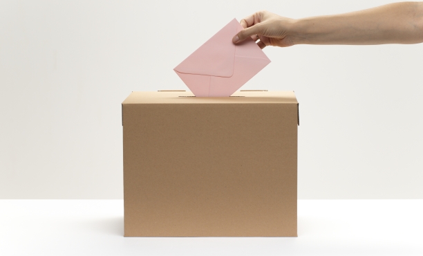 Ipsos | Unión Europea | Democracia