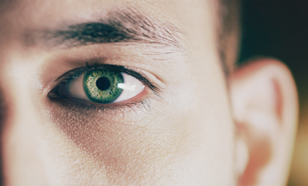 Ipsos | Conspiracy theories | Politics