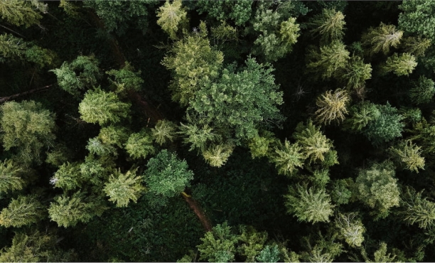 Ipsos | День Земли | устойчивоt развитие | изменение климата