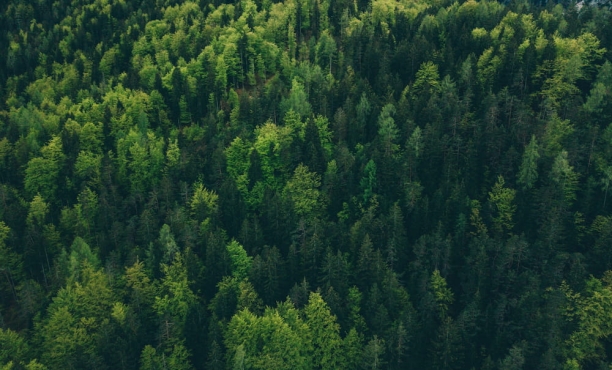 Ipsos Dünya Günü Çevre