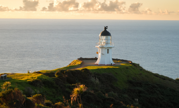 Ipsos NZ Social Surveys