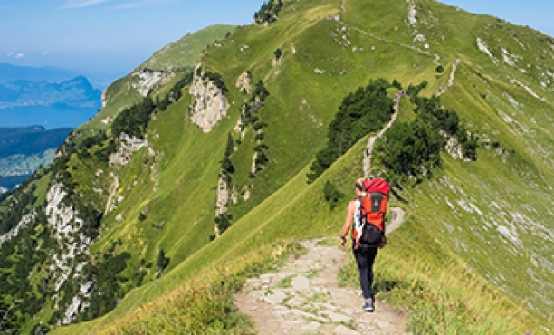 Amazon Future of Work & Career Development study in the UK