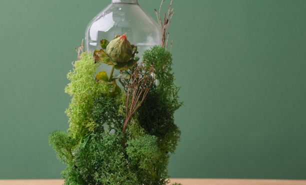 Sürdürülebilirlik_2