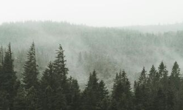 UN Global Compact ipsos sweden sverige rapport