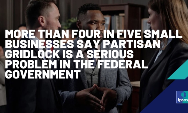 More than four in five small businesses say partisan gridlock is a serious problem in the federal government