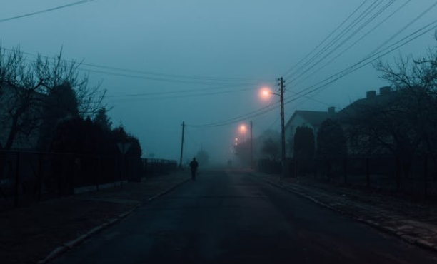 South Africans uphold universal Human Rights amidst global challenges