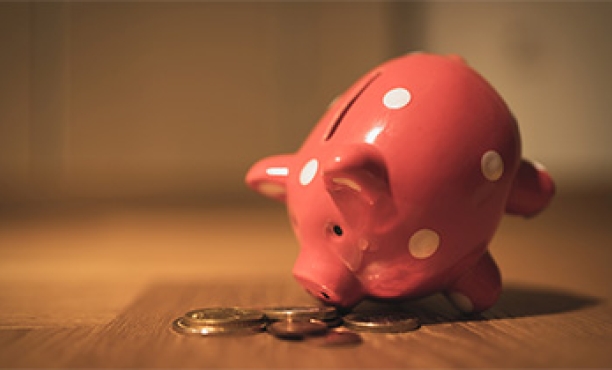 Piggy-bank
