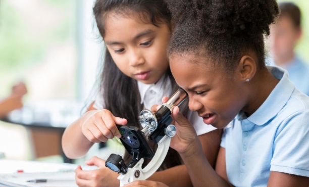 Ipsos Education Monitor 2025