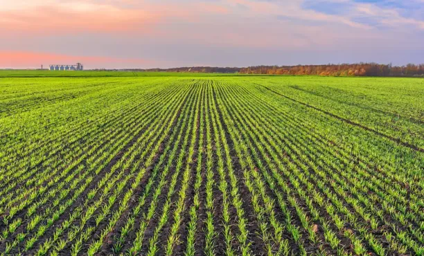 Ipsos bva | NTT DATA | Agriculture régénérative | Regen Ag