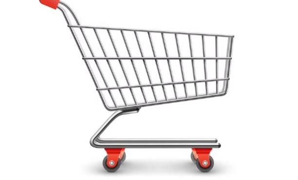 Ipsos IndiaBus Festival Shopping Survey