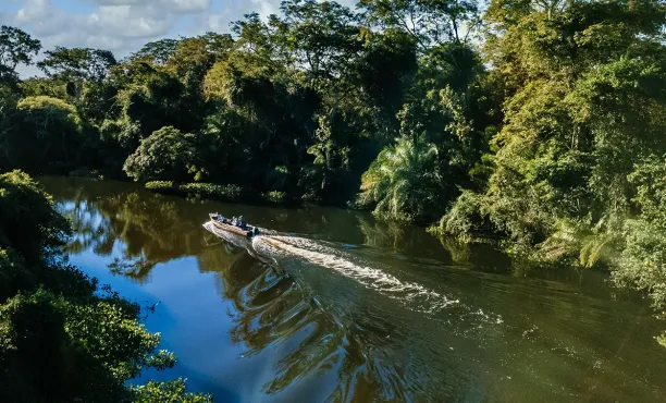 Actitudes hacia la COP30 - Ipsos