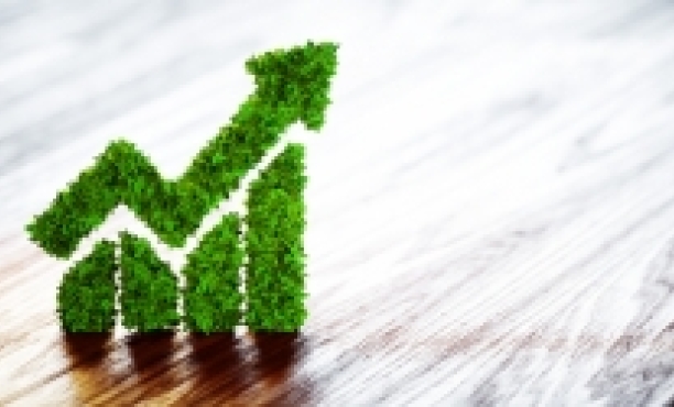 Nuove generazioni, nuovi investimenti: il risparmio diventa sostenibile