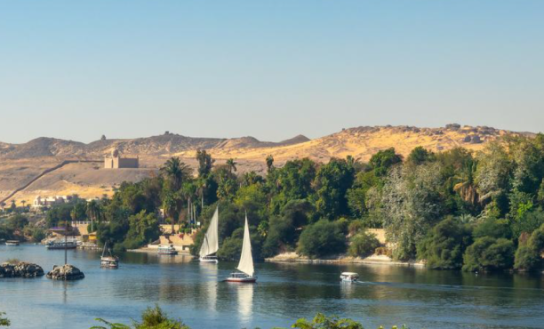 Ipsos Update February 2026