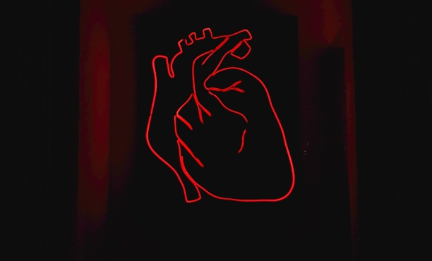 lOVE LIFE SATISFACTION 2025 ipsos