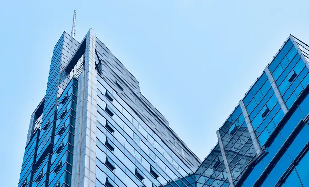 Impacts of Multinational Corporations (MNCs) - Ipsos