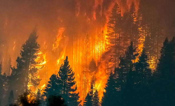 Claves Ipsos N°47 - Incendios en Biobío y Maule