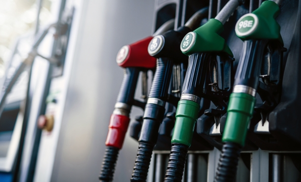 Consumer Pulse Survey