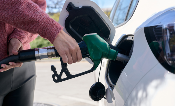 Claves Ipsos N°49 - Alza de la bencina