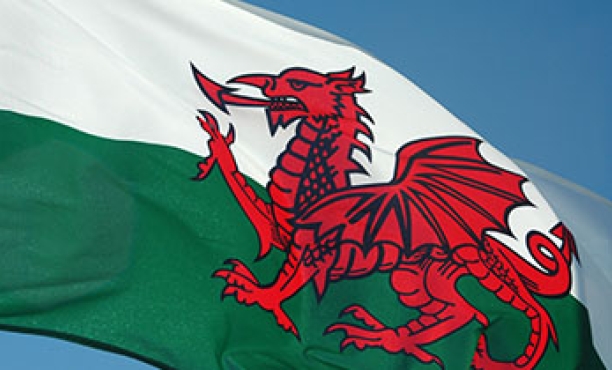 Welsh Senedd polling