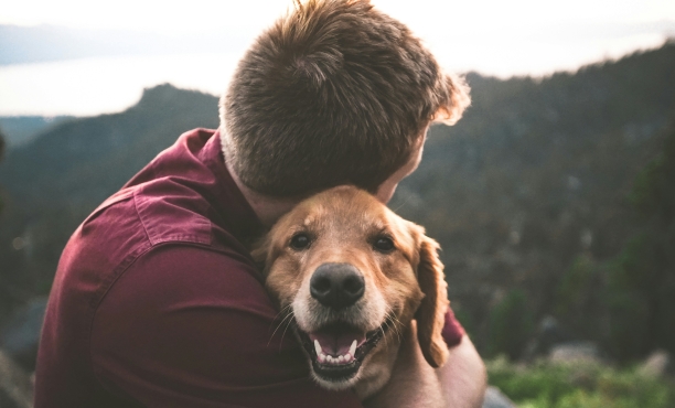 Pets: generations report