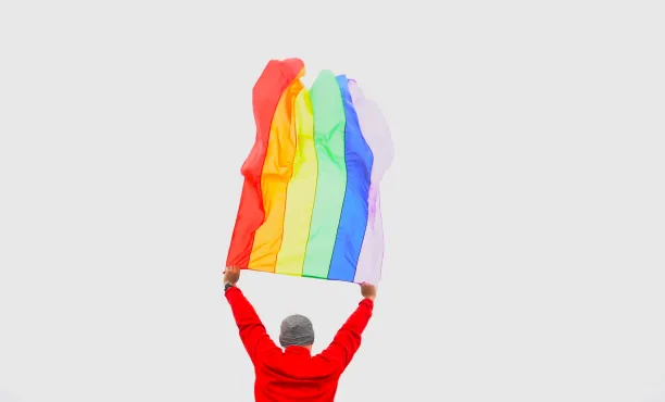 Sondage | LGBT+ | Diversité & Inclusion | Pride