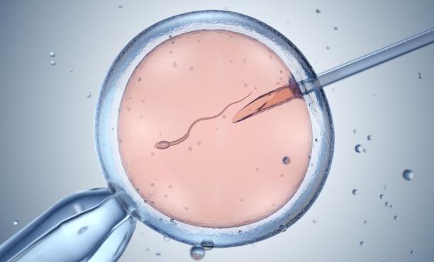 Artificial insemination or in-vitro fertilisation