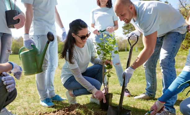 3 tips to ensure a successful corporate social responsibility (CSR) initiative