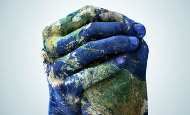 What Worries the World in 2017?