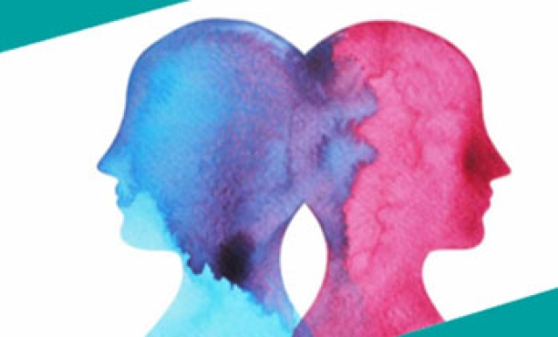 Cognitive Battlefield | Ipsos